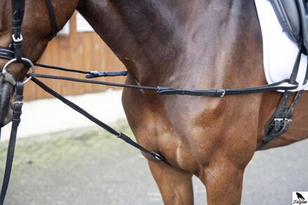 Používanie martingalov a poprsákov pre kone