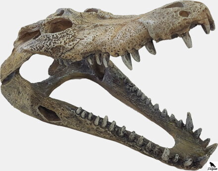 REPTO DECO CROCODILE L 18x 27x 12cm