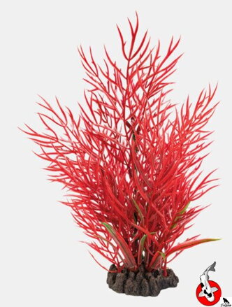 ART RASTLINA 25CM LUDWIGIA