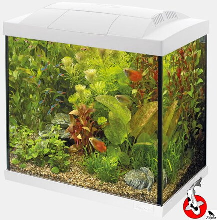 SUPERFISH START 30 TROPICAL SÚPRAVA BIELA