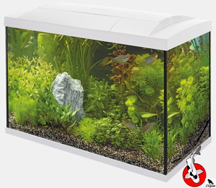 SUPERFISH START 70 TROPICAL SÚPRAVA BIELA