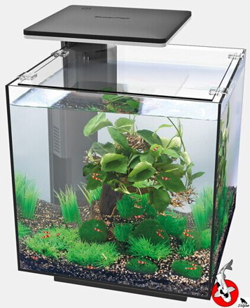 SUPERFISH QUBIQ 30 PRO Čierne