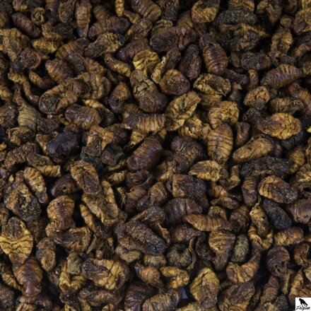 Larve de viermi de mătase 1L