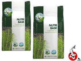 COLOMBO FLORA NUTRI BASE 5 LTR
