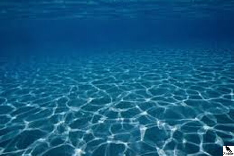 Redukcia dusitanov a fosfátov